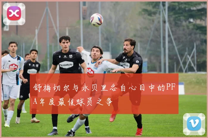 舒梅切尔与永贝里各自心目中的PFA年度最佳球员之争
